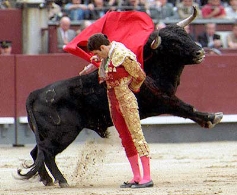 Feria Taurina de Nuestra Señora de San Lorenzo de Valladolid 2012