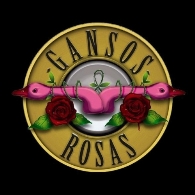 "Gansos Rosas" en Valladolid