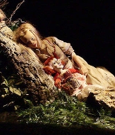 "Aullidos" en Valladolid
