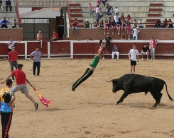 Fiestas de Nuestra señora del Rosario 2014 en Mojados