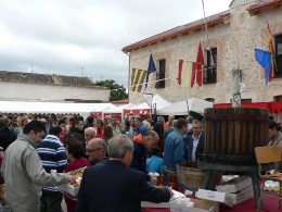 Mercado Medieval y Fiestas de la Vendimia 2014 Quintanilla