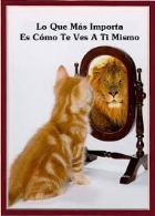 Taller de AUTOESTIMA Centrado de Soluciones
