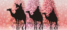 Cabalgata de Reyes 2015 en La Seca