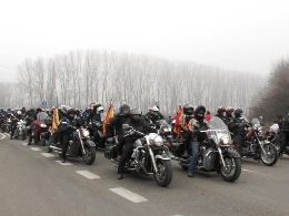 Pingüinos 2015 en Valladolid