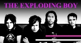 The Exploding Boys