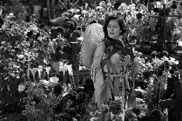 Estival UVa: LILA DOWNS