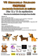 VII MERCADILLO SOLIDARIO PROPATAS