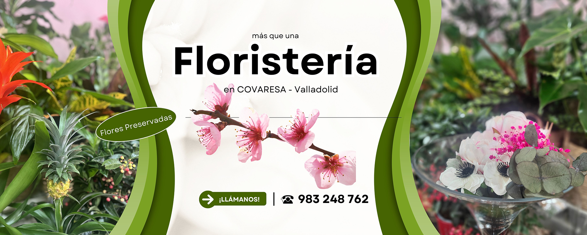 BIO FLORES - Floristería en Covaresa
