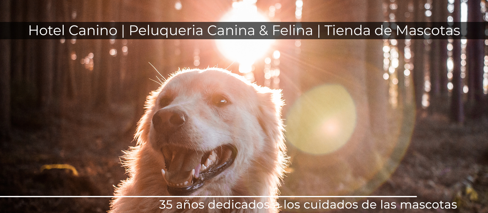 Hotel para perros en Valladolid Canuber