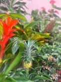 BIO FLORES - Floristería en Covaresa