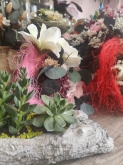 BIO FLORES - Floristería en Covaresa