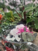 BIO FLORES - Floristería en Covaresa