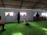 Adiestrador de perros Valladolid - CANUBER