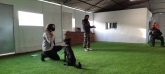 Adiestrador de perros Valladolid - CANUBER