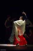 Escuela de Flamenco Valladolid