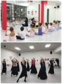 Escuela de Flamenco Valladolid
