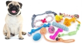 Peluquería canina en Valladolid "Parque Alameda" Zapppetshop