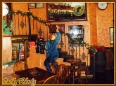 irish tavern, paddy flaherty, taverna irlandesa, cerveza irlandesa, cervezas, 