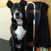 Hotel para perros en Valladolid Canuber