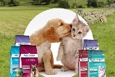Hotel para perros en Valladolid Canuber