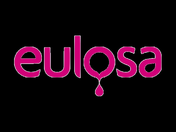 PINTURAS EULOSA - FABRICANTES Y DISTRIBUIDORES