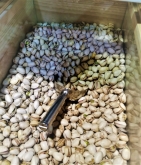 ECO LAND - ALIMENTACIÓN Y BIENESTAR