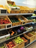 ECO LAND - ALIMENTACIÓN Y BIENESTAR