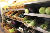 ECO LAND - ALIMENTACIÓN Y BIENESTAR