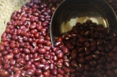 ECO LAND - ALIMENTACIÓN Y BIENESTAR