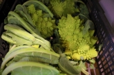 ECO LAND - ALIMENTACIÓN Y BIENESTAR