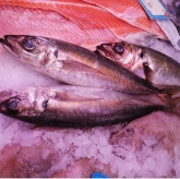 Pescadería Eugenia - Productos gourmet y ahumados