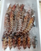 Pescadería Eugenia - Productos gourmet y ahumados