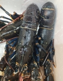 Pescadería Eugenia - Productos gourmet y ahumados