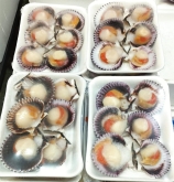 Pescadería Eugenia - Productos gourmet y ahumados