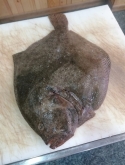 Pescadería Eugenia - Productos gourmet y ahumados