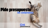 Instalación y Restauración de Parquet en Valladolid - On.Assistencia