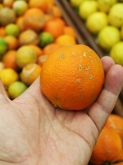 Frutería Puente Jardín - Fruta y verdura ecológica
