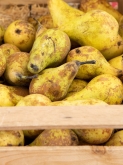 Frutería Puente Jardín - Fruta y verdura ecológica
