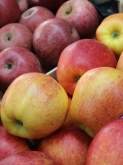 Frutería Puente Jardín - Fruta y verdura ecológica