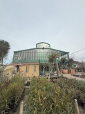 Viveros Rabadán y Calleja - Prispal Garden Valladolid