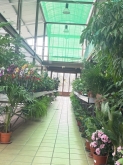 Viveros Rabadán y Calleja - Prispal Garden Valladolid