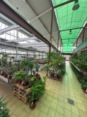 Viveros Rabadán y Calleja - Prispal Garden Valladolid