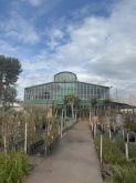 Viveros Rabadán y Calleja - Prispal Garden Valladolid