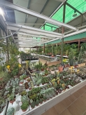 Viveros Rabadán y Calleja - Prispal Garden Valladolid