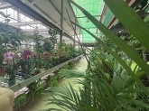 Viveros Rabadán y Calleja - Prispal Garden Valladolid