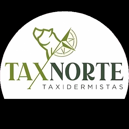 Taxnorte – Expertos en Taxidermia en Valladolid