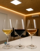 Oinos 4.0 – Asesoramiento y laboratorio enológico en Valladolid