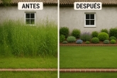 Limpiezas Daniel - Limpieza de Viviendas, Pisos Turísticos y Jardines en Valladolid