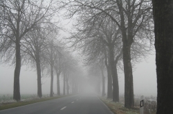 Los bancos de niebla merman la visibilidad en 26 puntos de las carreteras de la Comunidad