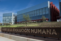 El Museo de la Evolución Humana acoge la exposición ‘Cráneo 4’, que se exhibe por primera vez desde su descubrimiento en 1992